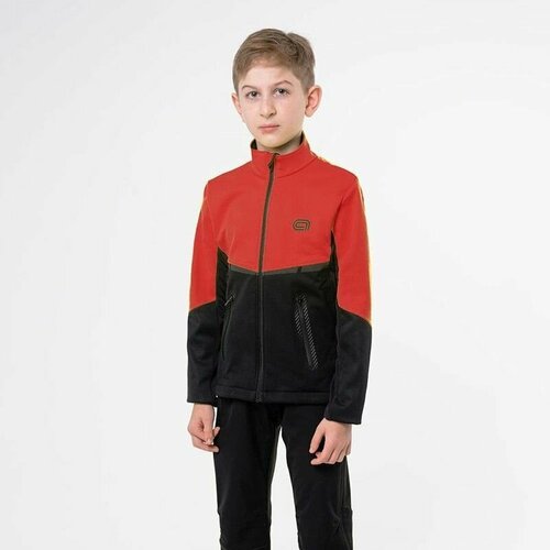 Купить Куртка Arswear, размер 160, красный
Куртка Arswear Softshell ACTIVE Kids красный...
