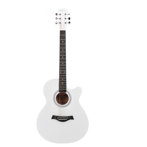 Купить Акустическая гитара Belucci BC4010 WH, глянцевая,40"дюймов , белая
Дерзкая и ярк...