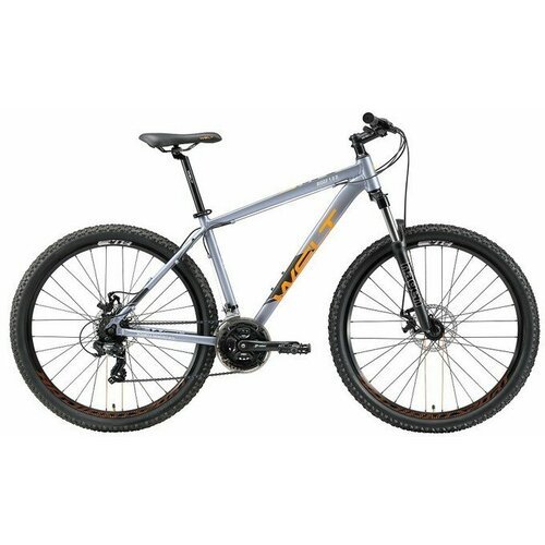 Купить Велосипед Welt Ridge 1.0 D 29 20" metal grey (2021) 20
Ridge 1.0 D- горный велос...