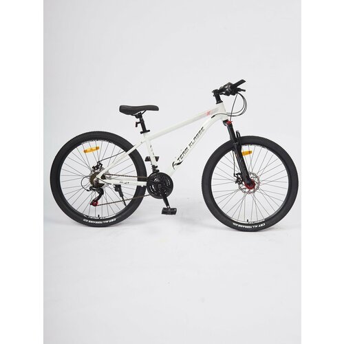 Купить Горный взрослый велосипед Team Klasse B-1-A, белый, диаметр колес 26 дюймов
Легк...