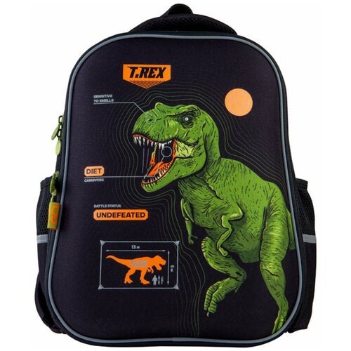 Купить Каркасный школьный рюкзак для мальчика GoPack Education GO21-165M-6
Абсолютный р...