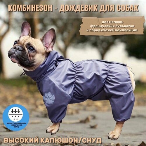 Купить Комбинезон-дождевик с высоким воротом/снуд для собак: французских бульдогов, моп...