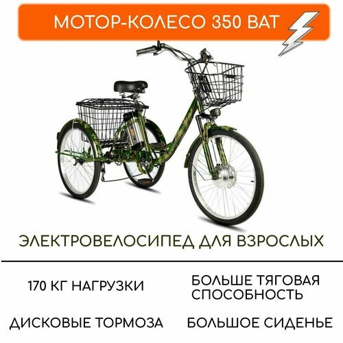 Купить Электровелосипед трехколесный для взрослых РВЗ "Чемпион", 350 12, хаки
Новая мод...
