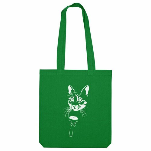 Купить Сумка Us Basic, зеленый
Название принта: Кот с фонариком, Horror cat. Автор прин...