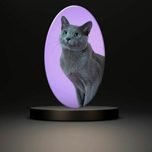 Купить Брошь, серый, фиолетовый
Эксклюзивная брошь с рисунком КОТ (кошка) от бренда фар...