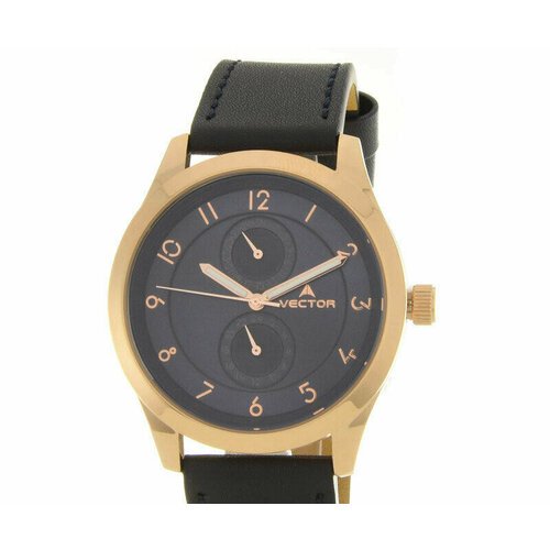 Купить Наручные часы VECTOR, золотой
Часы VECTOR VH8-101582 синий бренда VECTOR 

Скидк...
