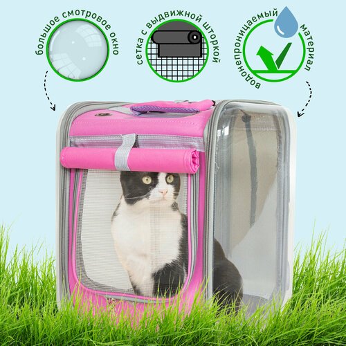 Купить Рюкзак-переноска для животных FUSION CCB-002
Рюкзак для транспортировки и перено...