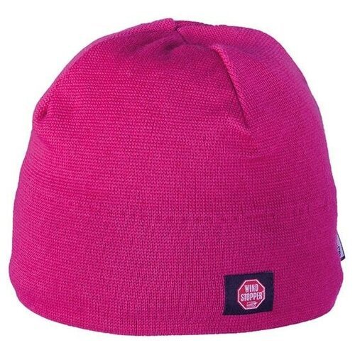 Купить Шапка Viking, размер one size, розовый
Однотонная шапка классического кроя для п...