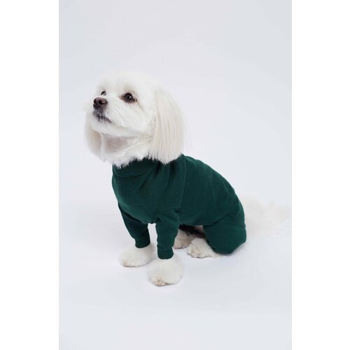 Купить Трикотажный костюм зеленый XL
В трикотажном костюме собака точно выделится среди...
