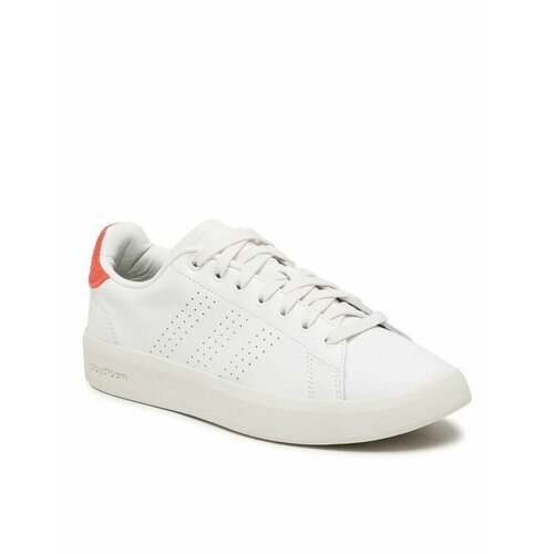 Купить Кроссовки adidas, размер EU 48, белый
При выборе ориентируйтесь на размер произв...