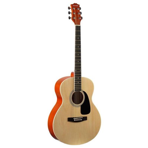 Купить Акустическая гитара Colombo LF-3800/N натуральный
Гитара Colombo LF-3800/N- один...