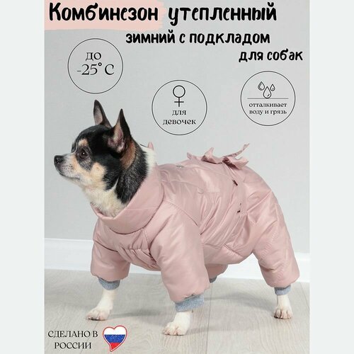 Купить Комбинезон зимний для мелких пород собак Yoriki "Пудра" девочка XL
Зимний комбин...