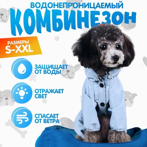 Купить Комбинезон для маленьких собак (Голубой) р S
С приходом холодов, когда еще не вк...