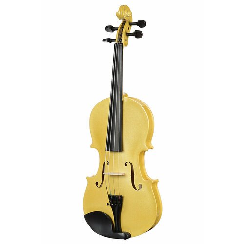Купить Скрипка Antonio Lavazza VL-32 1/2
Скрипка Antonio Lavazza VL-32. В стандартный н...