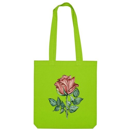 Купить Сумка Us Basic, зеленый
Название принта: Алая роза. Автор принта: Jane watercolo...