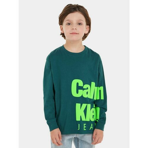 Купить Лонгслив Calvin Klein Jeans, размер 14Y [METY], зеленый
При выборе ориентируйтес...