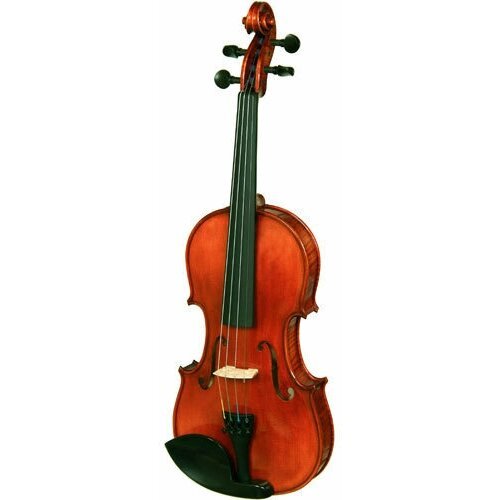 Купить Скрипка Harald Lorenz №6 4/4
<ul><li>Оркестровый инструмент с большим потенциало...