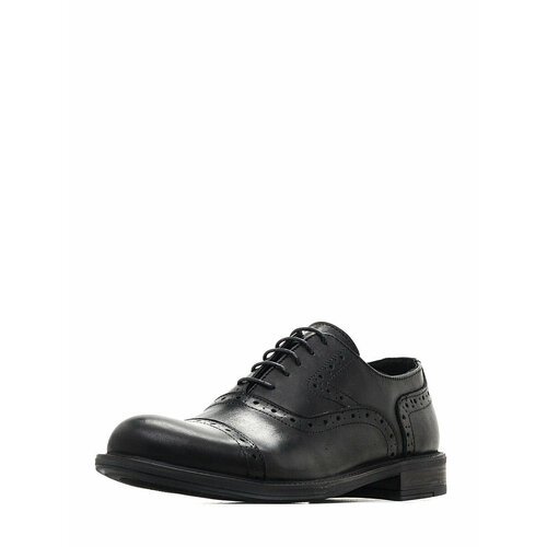 Купить Туфли BUL'VAR, размер 41, черный
Туфли мужские выполнены в классическом стиле ,...