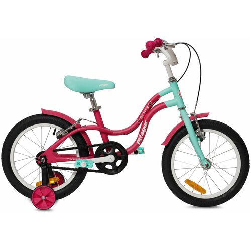 Купить Велосипед детский Pifagor IceBerry 16" розовый/голубой
Детский велосипед Pifagor...