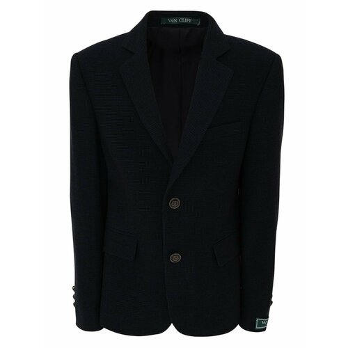 Купить Пиджак Van Cliff, размер 128 (32), черный
Идеально сидящий пиджак - незаменимый...