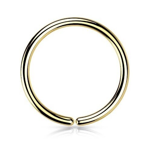 Купить Пирсинг Pirsa, размер 7 мм., золотой
Кольцо для пирсинга моносерьга из медицинск...