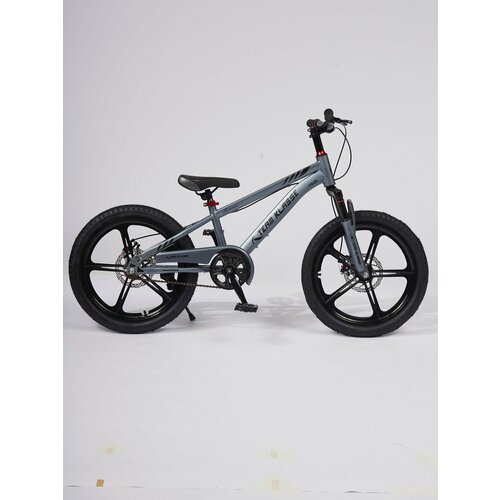 Купить Горный детский велосипед Team Klasse F-1-B, серый, диаметр колес 20 дюймов
Велос...