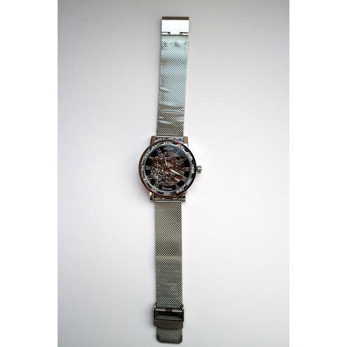 Купить Наручные часы WINNER, серебряный
Описание:<br><br>- Полоса Mesh Steel дает вам н...