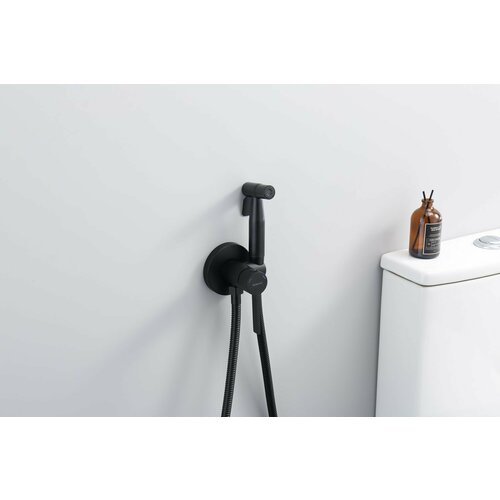 Купить Гигиенический душ-смеситель из нержавеющей стали черного цвета Splenka
Гигиениче...