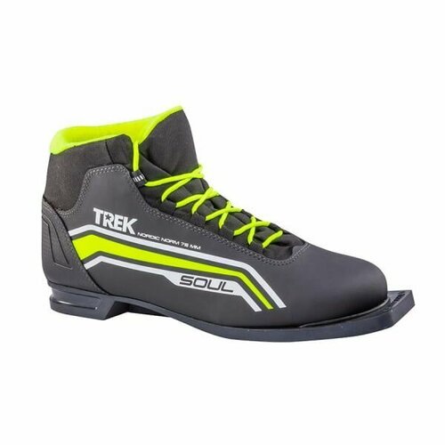 Купить Ботинки лыжные 75мм TREK Soul1 черный 46 р
Серия, в которую входят эти ботинки,...