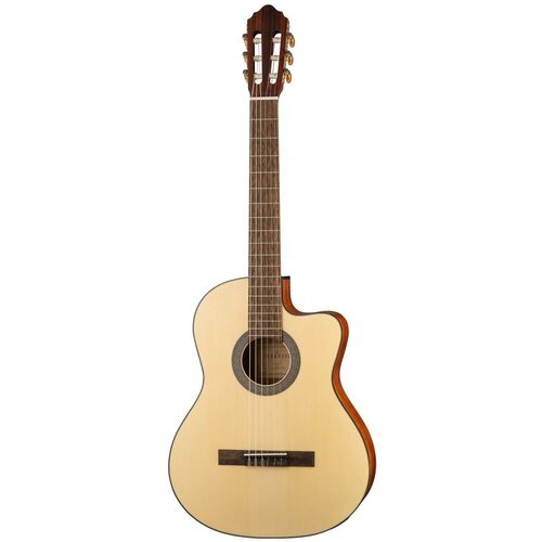 Купить Электро-акустическая классическая гитара Parkwood PC110
PC110-WBAG-OP Электро-ак...