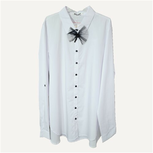 Купить Школьная блуза, размер 164, белый
Школьная блузка для девочек. Белый цвет. 

Ски...