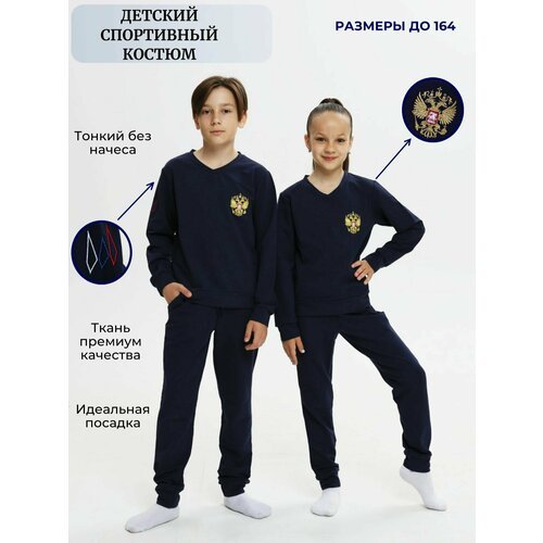 Купить Костюм WILDWINS, размер 152/158, синий
Спортивный костюм для девочек и мальчиков...