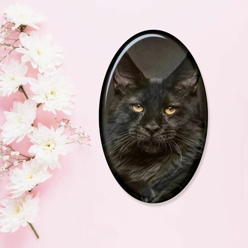 Купить Брошь, черный
Эксклюзивная брошь с рисунком кота мейн-кун от бренда фартоvый 7 с...