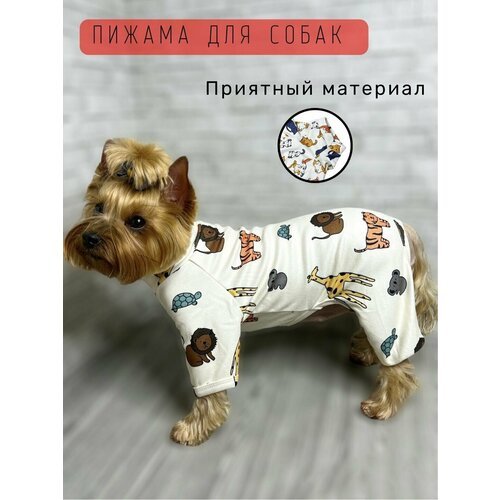 Купить Пижама-костюм для мелких и средних пород собак / Размер S / Молочная
Мягкий кост...
