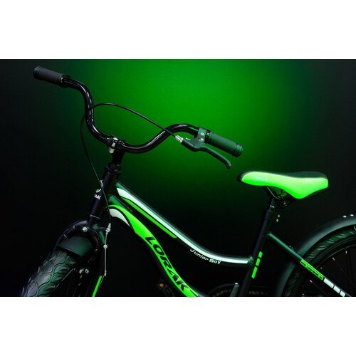 Купить Велосипед LORAK JUNIOR 20 Boy Матовый Чёрный/Зелёный
Lorak Junior 20 Boy - велос...