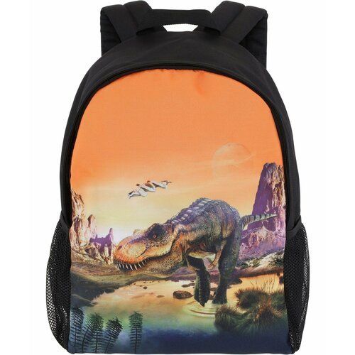 Купить Рюкзак Backpack Solo Planet T-Rex
Черный рюкзак с оранжевой передней частью и пр...