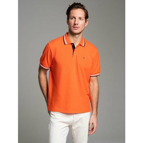 Купить Поло WEBERMANN WT201-2-01-2/M, размер 3XL, оранжевый
Трикотажная футболка поло с...