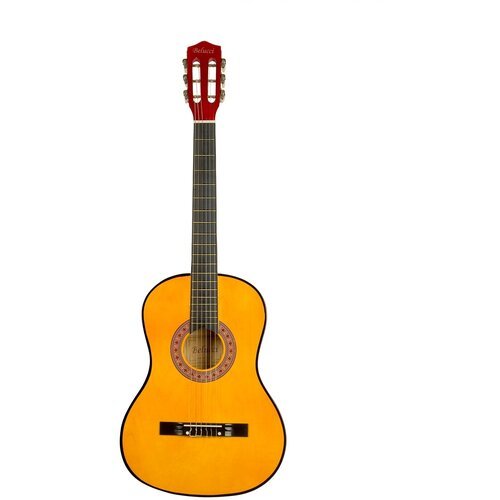 Купить Классическая гитара Belucci BC3805 OR (7/8, 38"), оранжевая,7/8 (38 дюймов)
Клас...