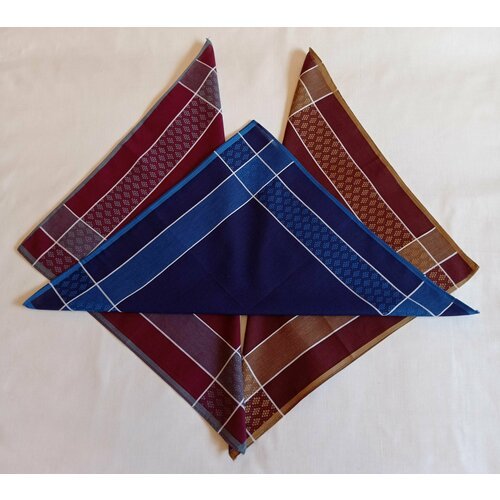 Купить Носовой платок , коричневый, бордовый
Комплект из 6-ти мужских платков, представ...