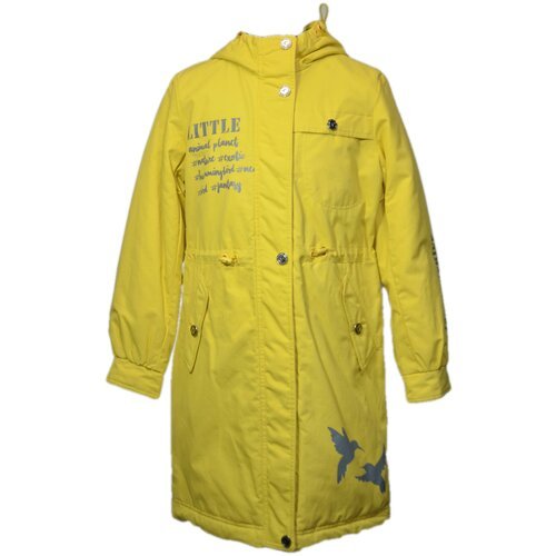 Купить Парка Duwali, размер 140-68-57, желтый
Демисезонная куртка (пальто) для девочки...