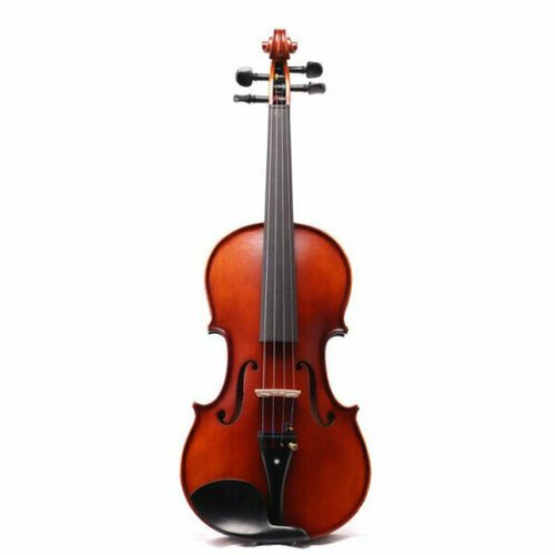 Купить Скрипка Vermont JYV06 4/4
<p>Студенческая скрипка ручной работы VERMONT JYV06 4/...