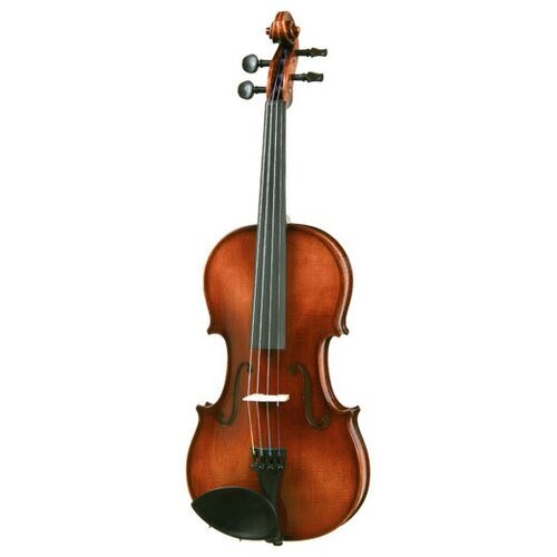 Купить Скрипка Harald Lorenz №4 Vintage 3/4
<ul><li>Студенческий инструмент с большим п...