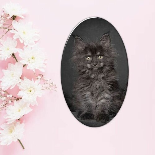 Купить Брошь, черный
Эксклюзивная брошь с рисунком кота мейн-кун от бренда фартоvый 7 с...