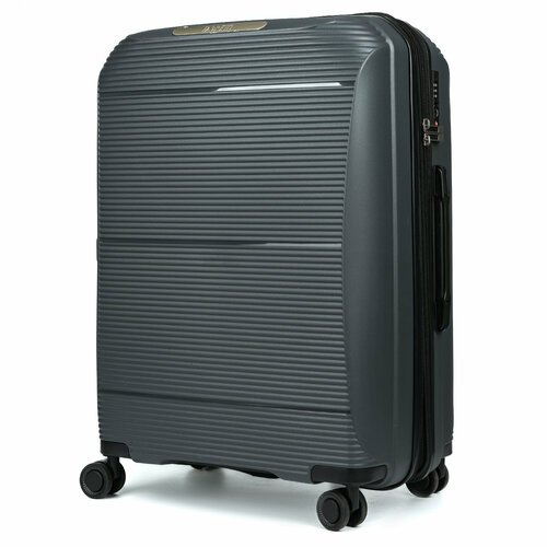 Купить Чемодан FABRETTI EN1010-24-3, 95 л, размер M, серый
Универсальный чемодан FABRET...