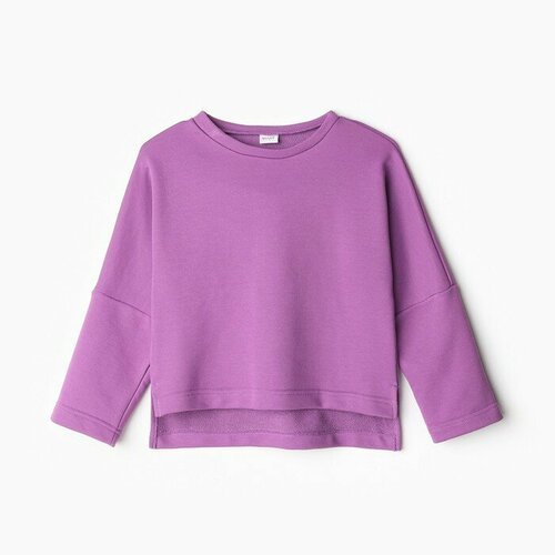Купить Свитшот Minaku, размер 40, фиолетовый
<p>Свитшот детский MINAKU, цвет лавандовый...