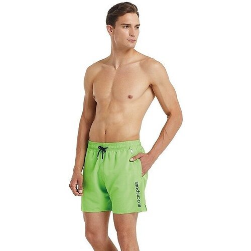 Купить Бордшорты BlackSpade, размер XXL, зеленый
Привлекательные пляжные шорты с логоти...