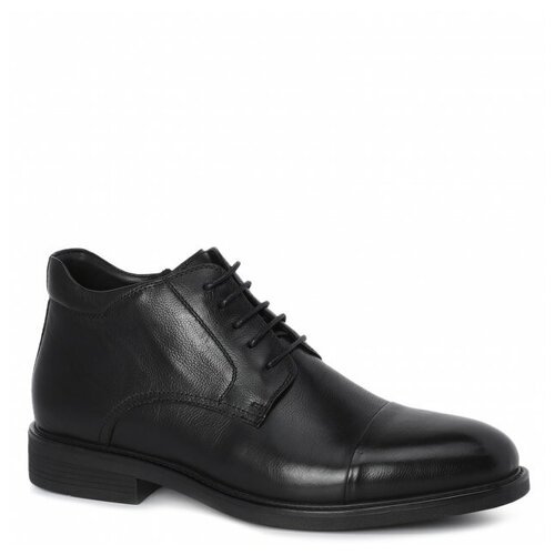 Купить Ботинки Maison David, размер 44, черный
Ботинки Maison David H2278D-2A-4, цвет -...