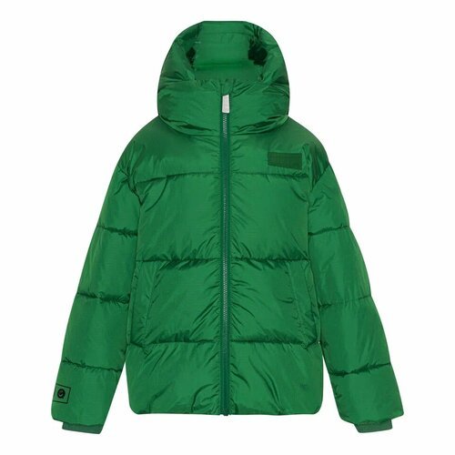 Купить Куртка Molo, размер 164, зеленый
– Застежка-молния спереди.<br>– Эластичные манж...