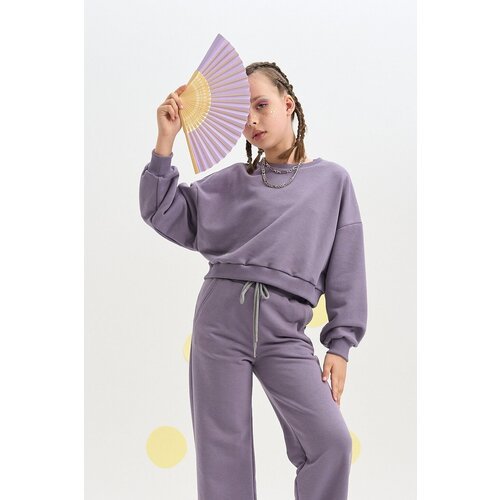 Купить Толстовка Шалуны, размер 42, 164, фиолетовый
Стильный укороченный джемпер оверса...