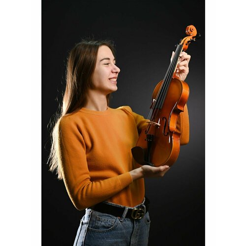 Купить Скрипка LIVINGSTONE L-VP01, 4\4 с футляром, смычком и канифолью
Эта модель начал...